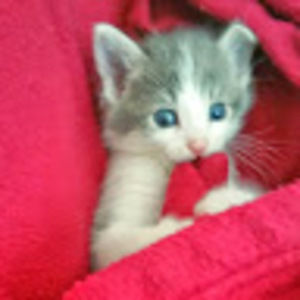 Meet your Posher, Dennisse